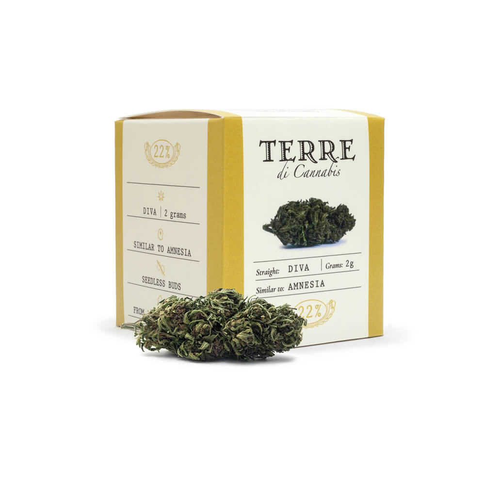 Flor Amnesia Terre di Cannabis Diva 22% CBD – 2g