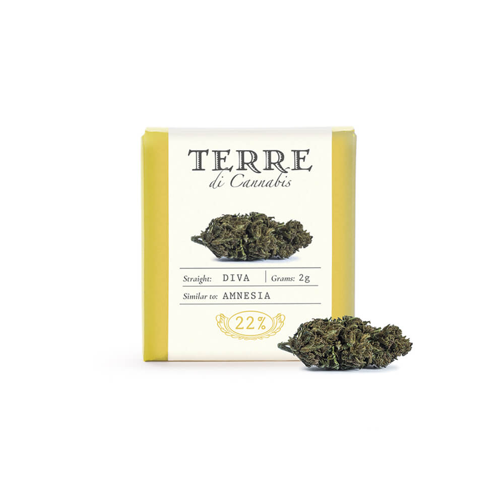 Flor Amnesia Terre di Cannabis Diva 22% CBD – 2g
