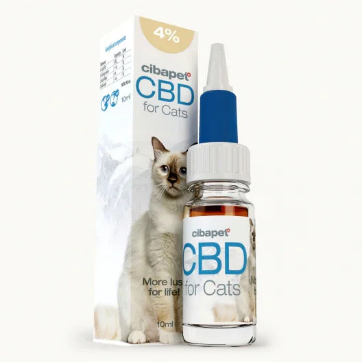 Óleo de CBD 4% para Gatos Cibapet