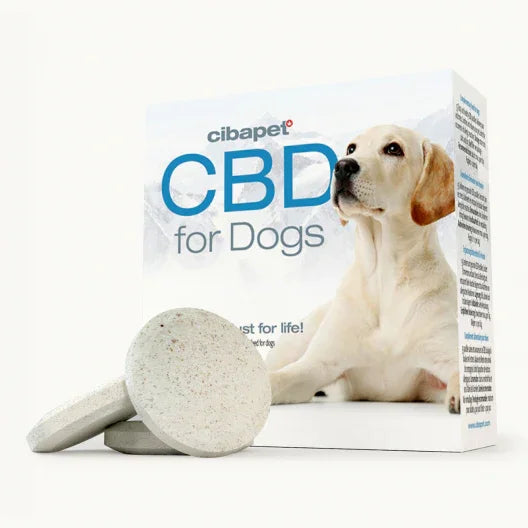 Pastilhas de CBD para Cães da Cibdol